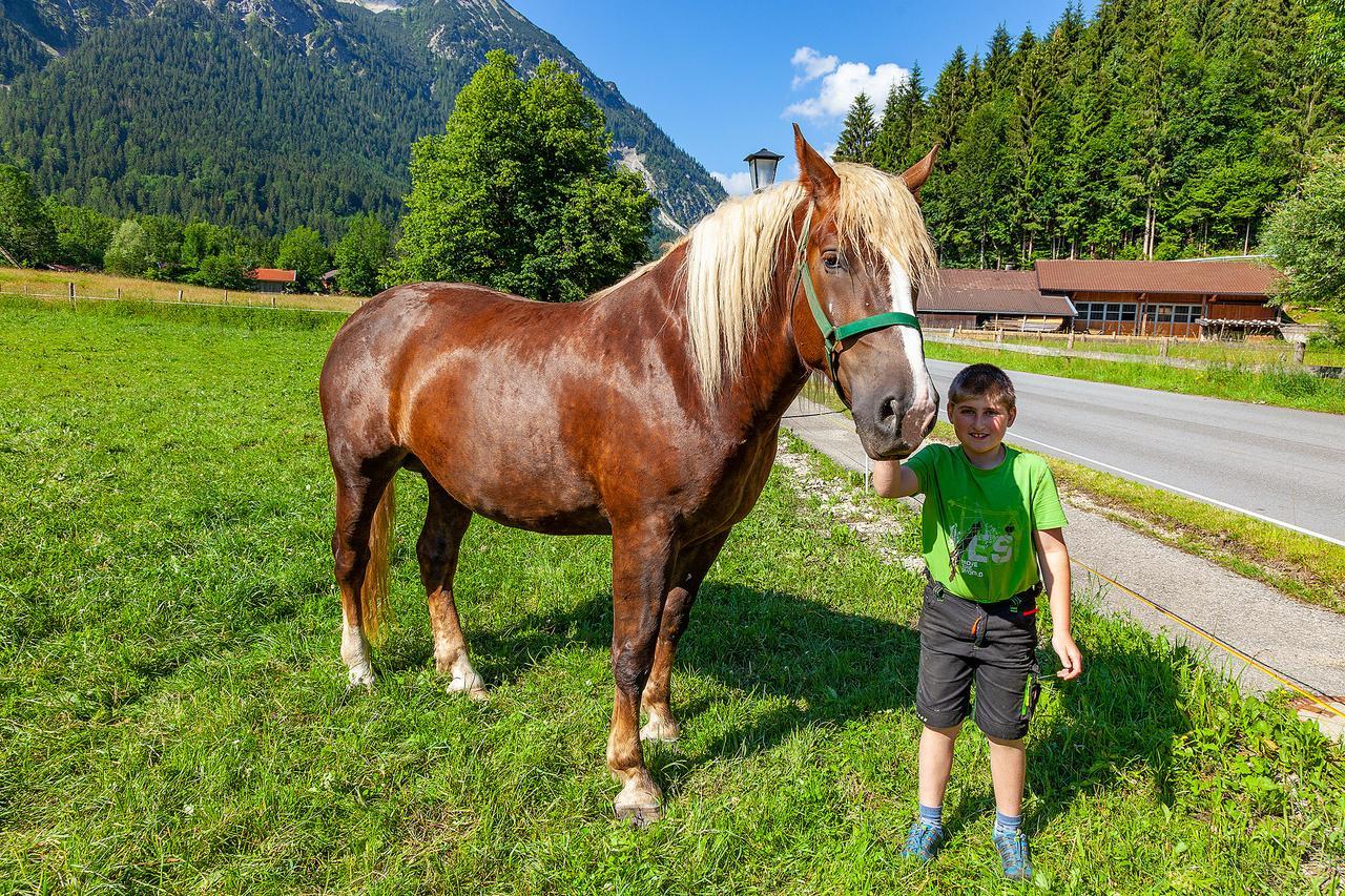 Groebl-Alm Haus Zur Schoenen Aussicht Graswang Exteriér fotografie